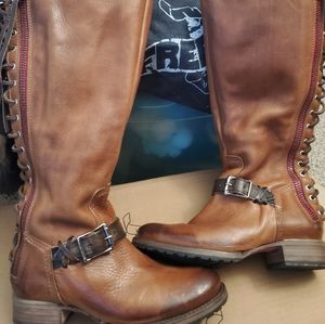 Freebird by Steven Lancaster 9